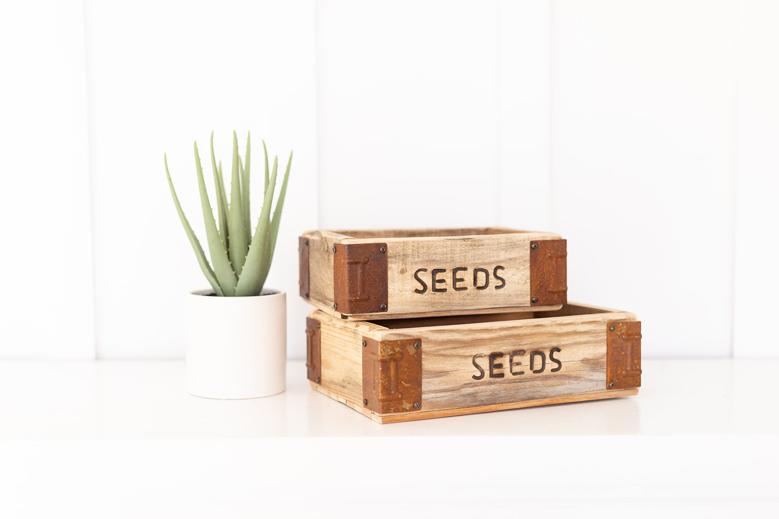 The SEEDS box image 0
