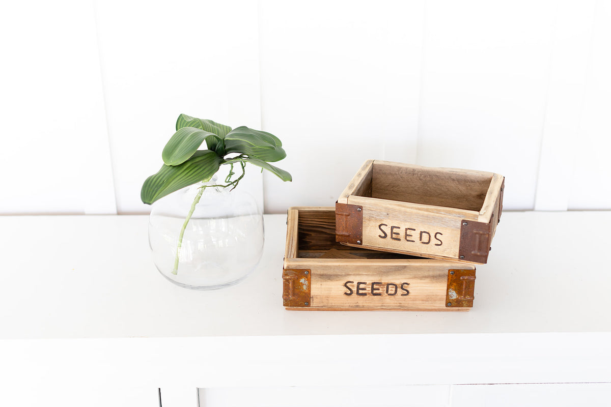 The SEEDS box image 3