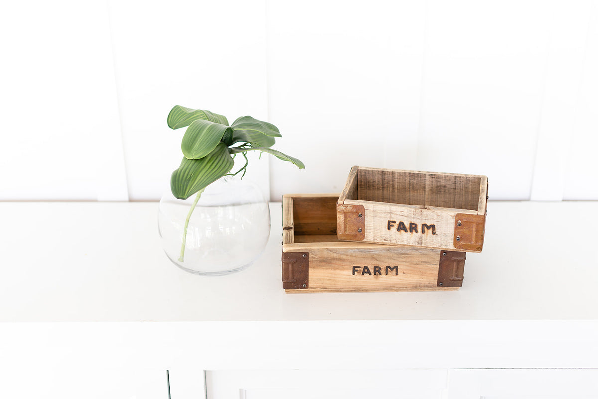 The FARM Box image 3